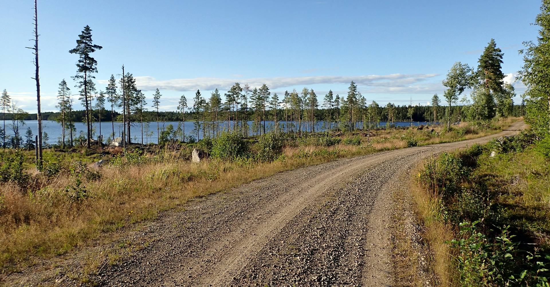 Läs mer om artikeln Välkomna på en tisdagsrunda runt Storsjön den 19 juli