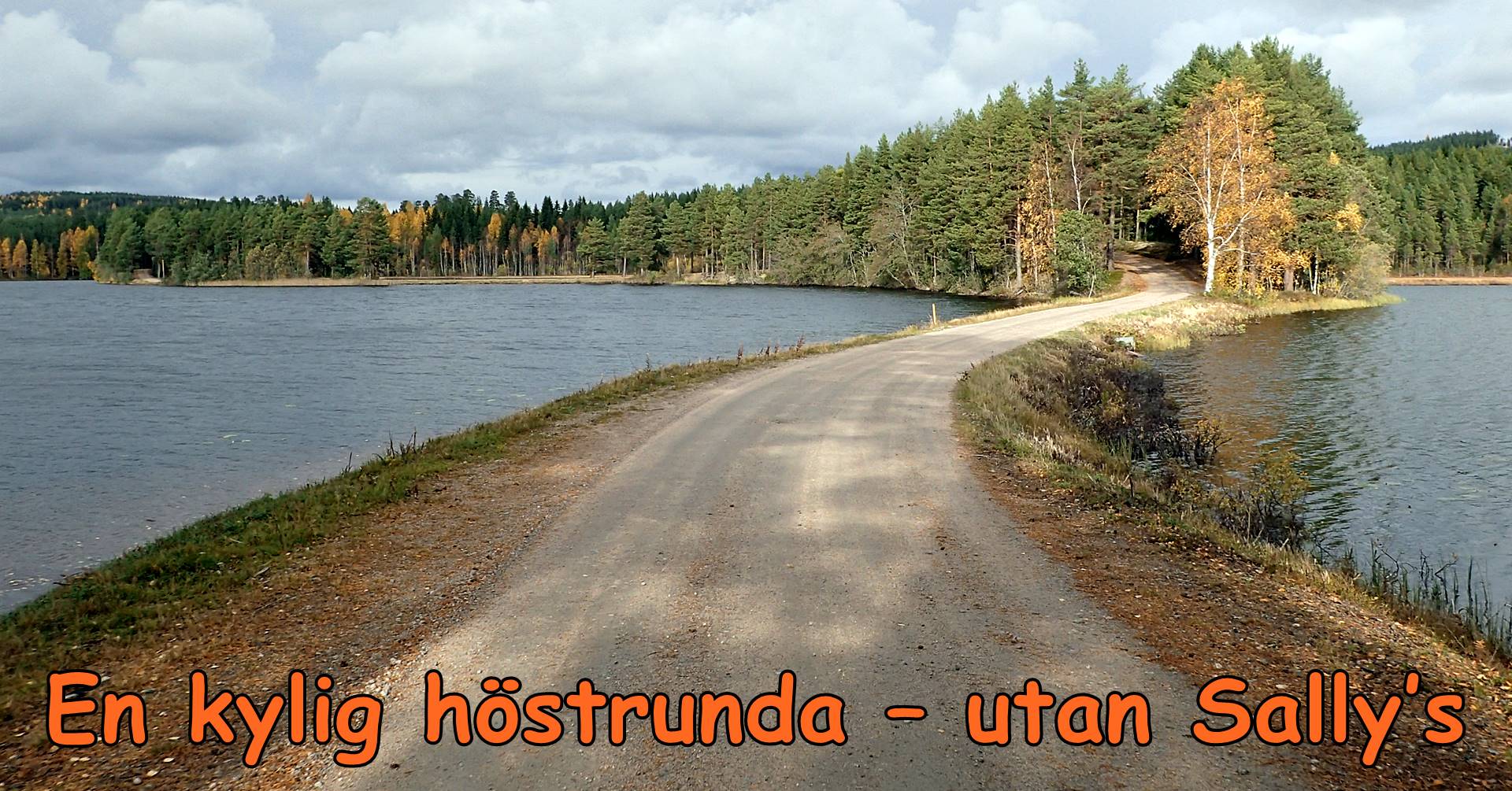 Läs mer om artikeln En kylig höstkörning.
